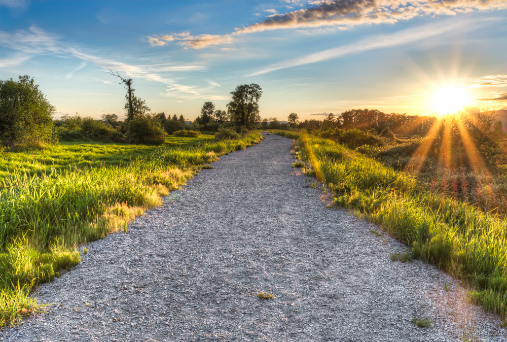 The path лагает