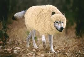 sheep wolf