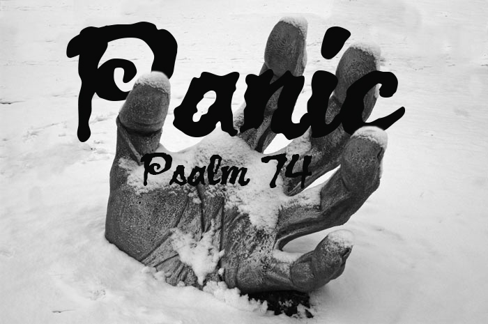 Panic Psalm 74